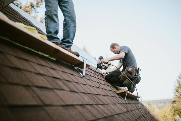 Best Flat Roof Repair Services  in Hudson, IL